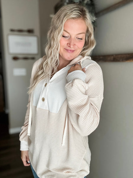 PREORDER Chastain Waffle Knit Hoodie