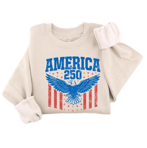 America 250 Graphic Sweatshirt - SIZE XL