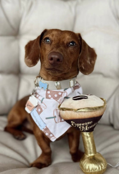 Espresso Muttini Dog Toy