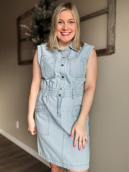Aliza Stripe Denim Dress