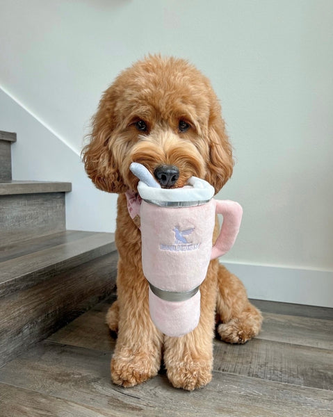 Snuggly Cup Dog Toy