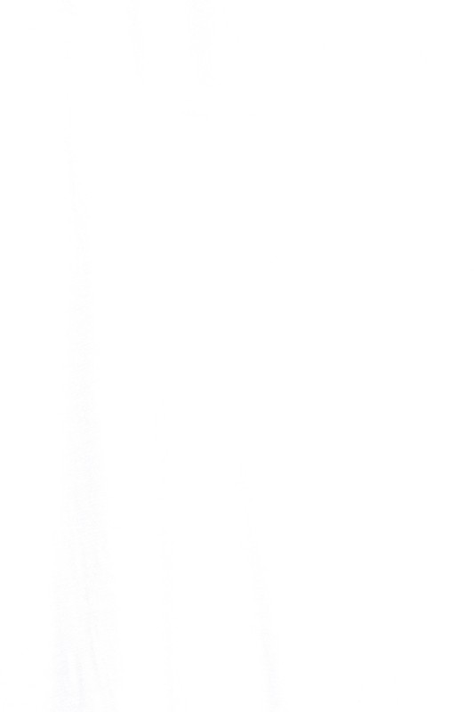 Rhetta Short Sleeve Basic Tee - 2 Color Options