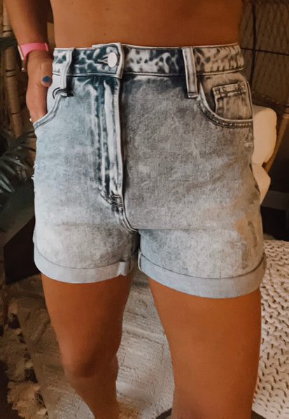 Brandi High Rise Jean Shorts