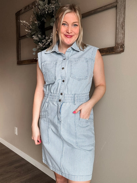 Aliza Stripe Denim Dress