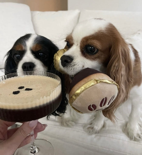 Espresso Muttini Dog Toy