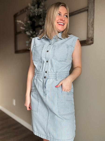 Aliza Stripe Denim Dress
