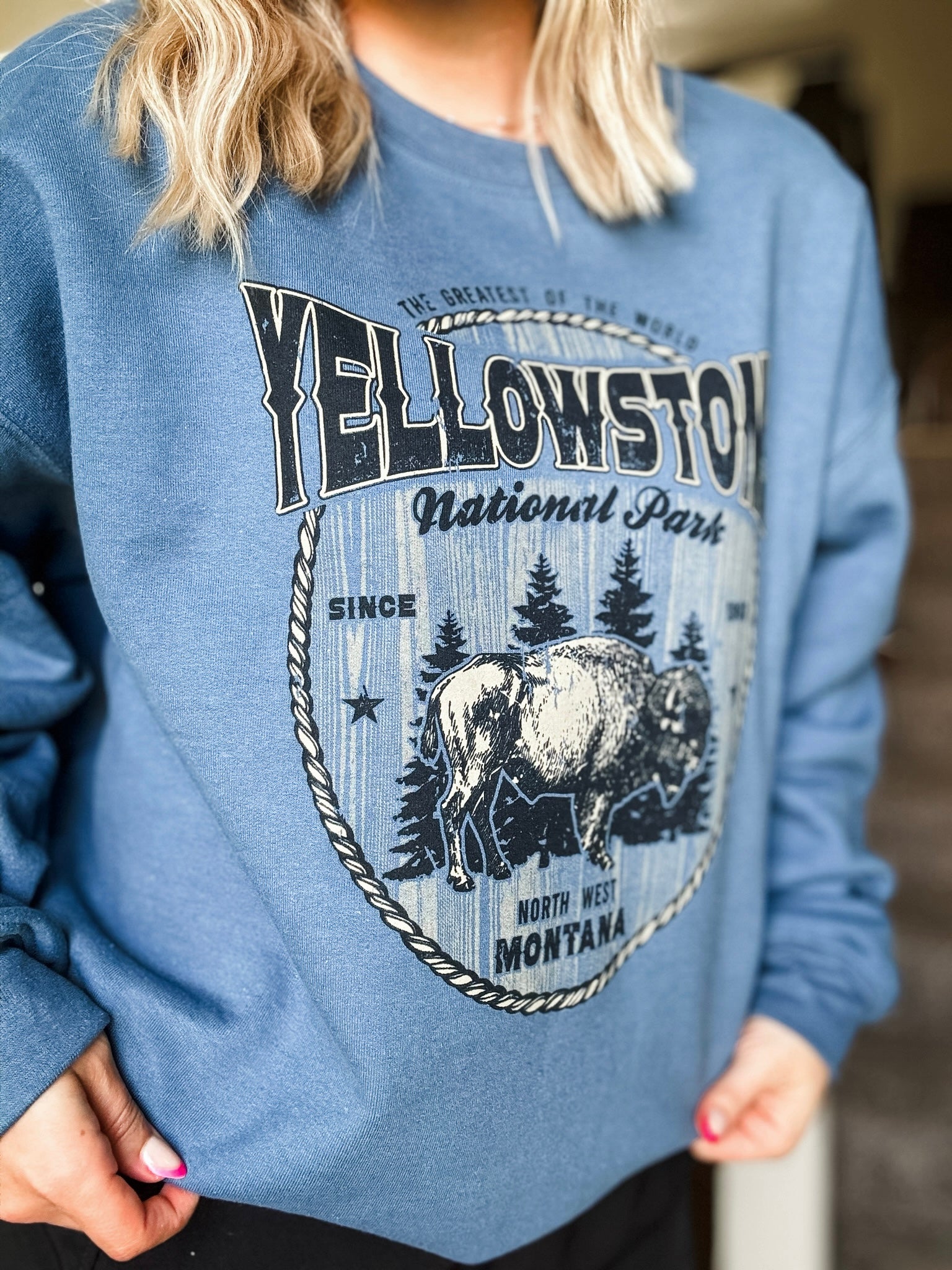 Yellowstone Buffalo Graphic Sweatshirt