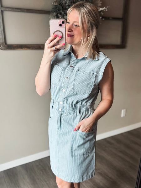 Aliza Stripe Denim Dress