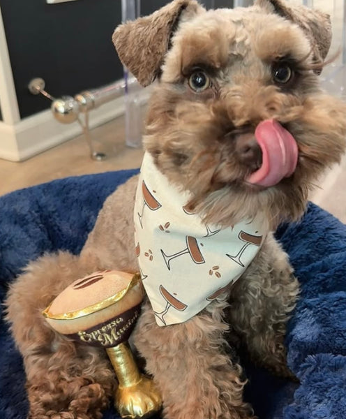 Espresso Muttini Dog Toy