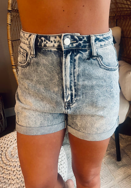 Brandi High Rise Jean Shorts