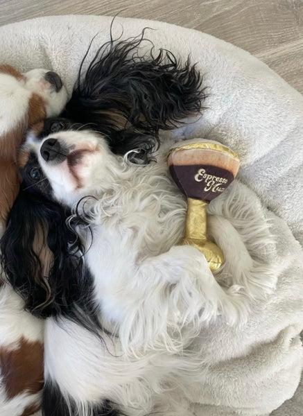Espresso Muttini Dog Toy