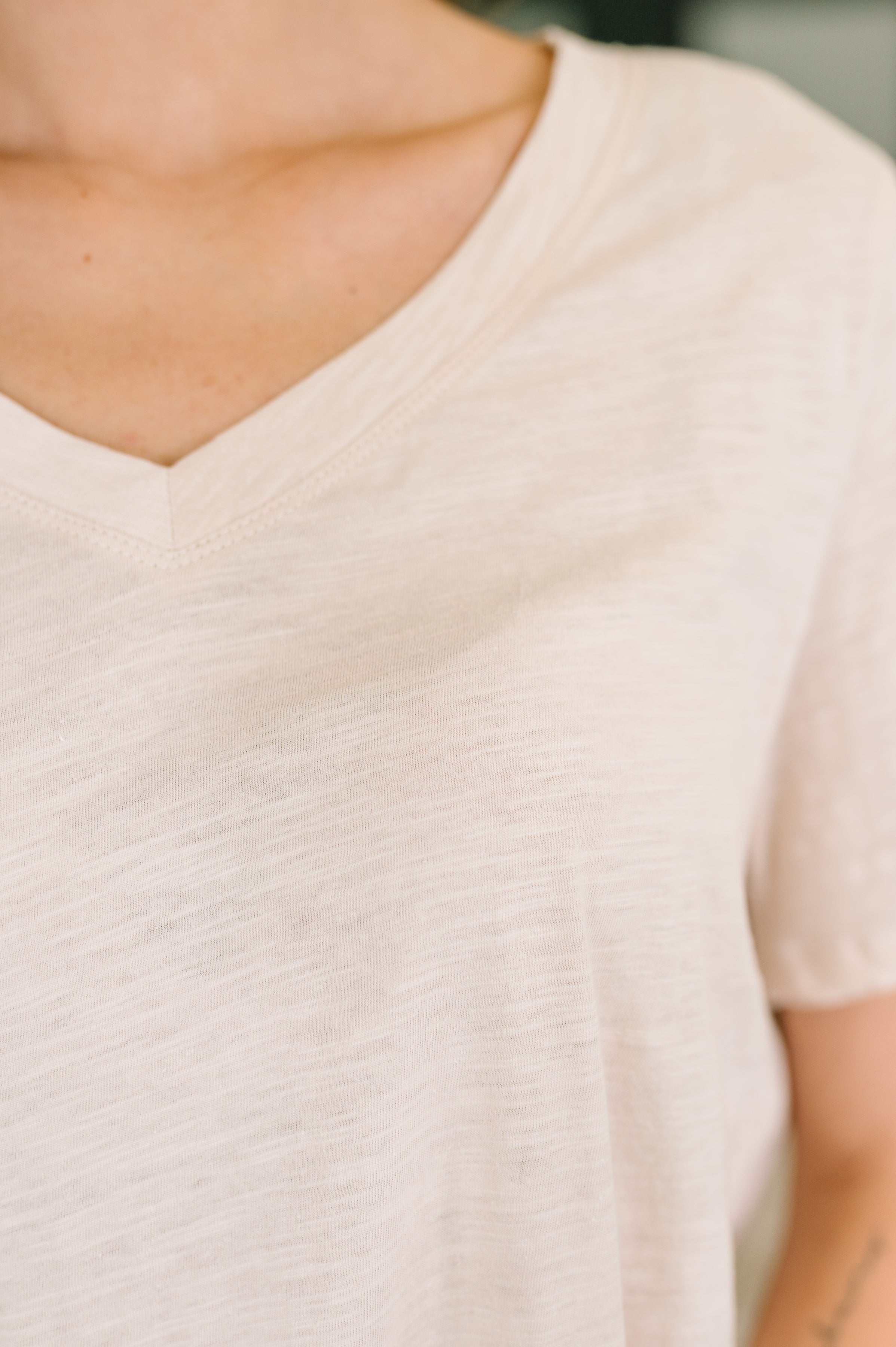 I Don't Have to Choose V-Neck Tee in Oatmeal