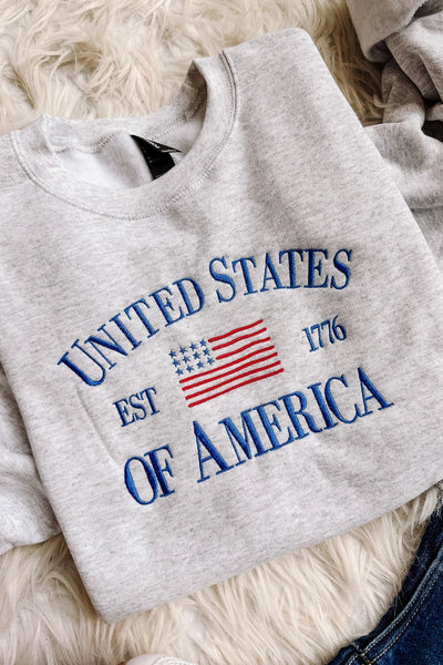 PREORDER USA Embroidered Graphic Sweatshirt